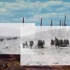 Desire Lines by Lara Shipley