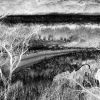 Desire Lines by Lara Shipley