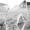 Desire Lines by Lara Shipley
