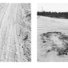 Desire Lines by Lara Shipley