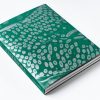 Fastidiosa book by Jean-Marc Caimi + Valentina Piccinni
