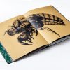 Fastidiosa book by Jean-Marc Caimi + Valentina Piccinni