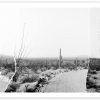 Desire Lines Maquette Edition by Lara Shipley - Print choice 2