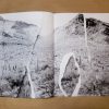 Desire Lines Maquette Edition by Lara Shipley