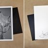 Fastidiosa Print Edition - Caimi + Piccinni