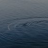 Overlapse - Thinking Like an Island - Chiapparini + Marrese