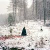 All of Them Witches by Bego Anton published by Overlapse English
