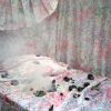 All of Them Witches by Bego Anton published by Overlapse English